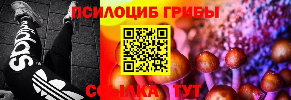 Псилоцибиновые грибы мицелий Михайловск