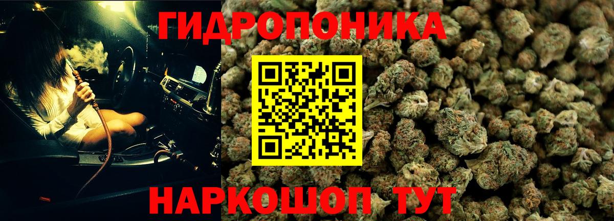 Конопля марихуана Михайловск